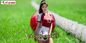 Cá cược Cricket Tỷ lệ kèo us - Trải Nghiệm Cá Cược Bóng Gậy Với Tỷ Lệ Minh Bạch
