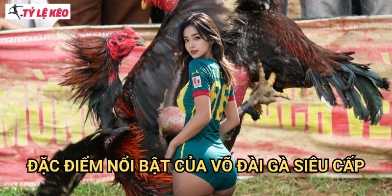 Đặc Điểm Nổi Bật Của Võ Đài Gà Siêu Cấp