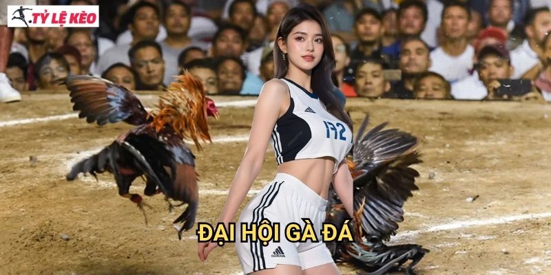 Đại Hội Gà Đá Tỷ lệ kèo us - Giải Đấu Gà Đá Quốc Tế Với Giải Thưởng Tỷ Đồng