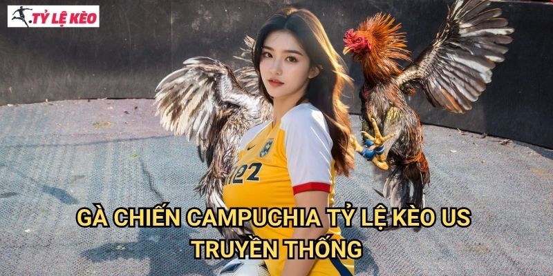 Gà Chiến Campuchia Tỷ lệ kèo US truyền thống