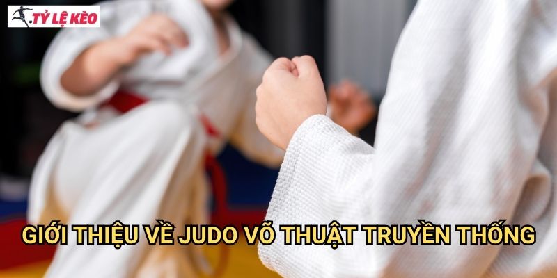 Giới Thiệu Về Judo võ thuật Truyền Thống