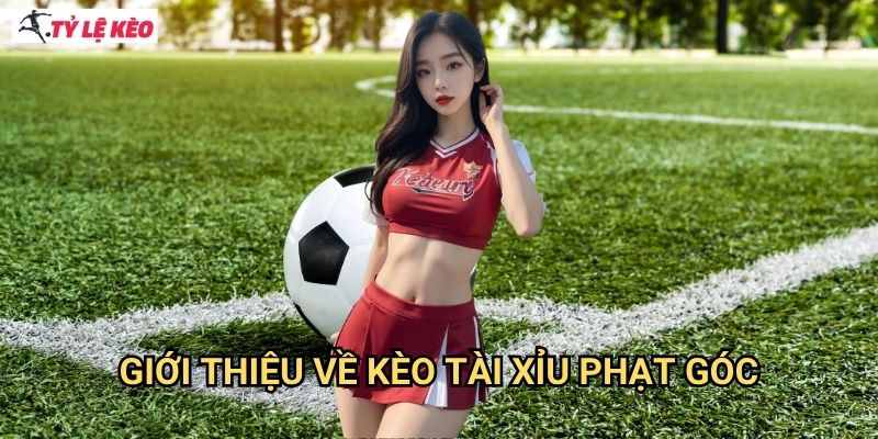 Giới thiệu về kèo tài xỉu phạt góc