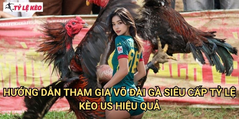 Hướng Dẫn Tham Gia Võ Đài Gà Siêu Cấp Tỷ lệ kèo us Hiệu Quả