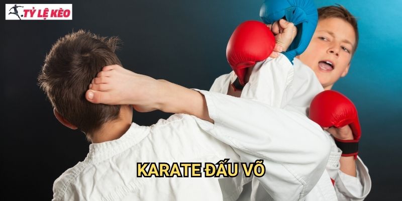 Karate đấu võ Tỷ lệ kèo us - Olympic và WKF World Championships