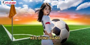 Kèo đồng banh Tỷ lệ kèo us - Hướng Dẫn Chi Tiết Cách Đọc Và Phân Tích Kèo Hòa