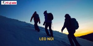 Leo núi Tỷ lệ kèo us - Chinh phục đỉnh cao cá cược thể thao mạo hiểm