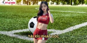 Tài xỉu phạt góc Tỷ lệ kèo us - Cơ hội vàng cho bet thủ am hiểu chiến thuật