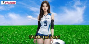 Tài xỉu thẻ phạt Tỷ lệ kèo us - Dự đoán chính xác số thẻ vàng, thẻ đỏ