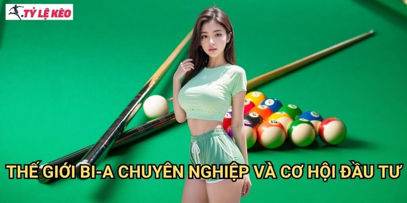 Thế giới bi-a chuyên nghiệp và cơ hội đầu tư