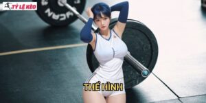 Thể hình Tỷ lệ kèo us - Sculpting thành công trong cá cược bodybuilding