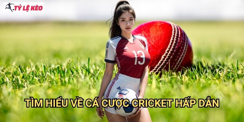 Tìm Hiểu Về Cá cược Cricket Hấp Dẫn