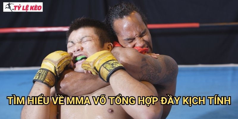 Tìm Hiểu Về MMA võ tổng hợp Đầy Kịch Tính