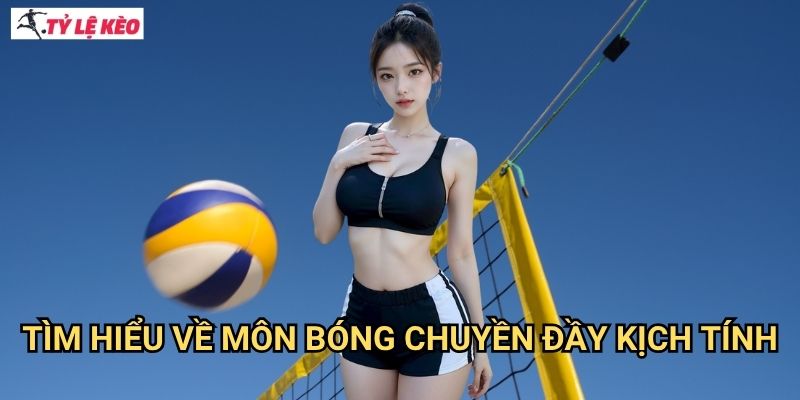 Tìm Hiểu Về Môn Bóng chuyền Đầy Kịch Tính
