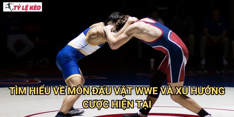 Tìm hiểu về môn đấu vật WWE và xu hướng cược hiện tại