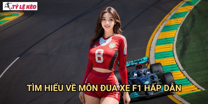 Tìm Hiểu Về Môn Đua xe F1 Hấp Dẫn
