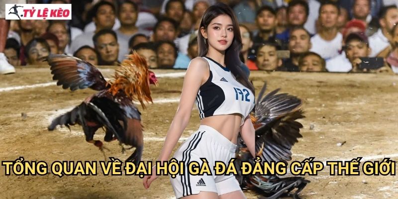 Tổng Quan Về Đại Hội Gà Đá Đẳng Cấp Thế Giới