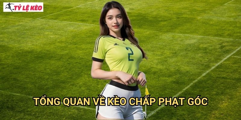 Kèo chấp phạt góc Tỷ lệ kèo us - Nâng cao tỷ lệ thắng cược với chiến lược độc đáo 2 Tổng quan về kèo chấp phạt góc