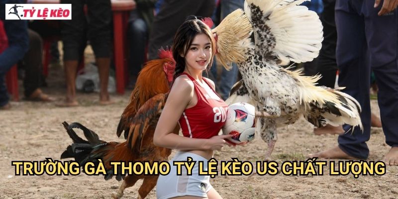 Trường Gà Thomo Tỷ lệ kèo us chất lượng