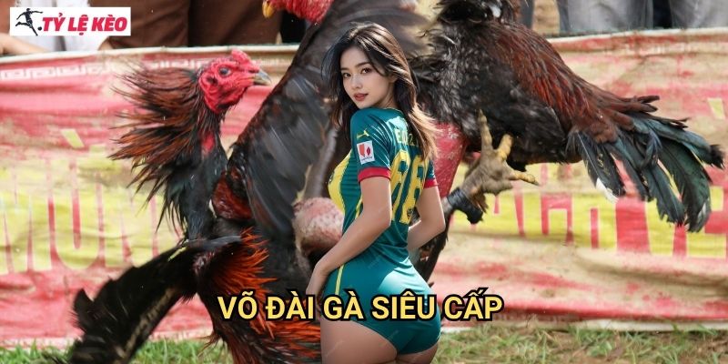 Võ Đài Gà Siêu Cấp Tỷ lệ kèo us - Sàn Đấu Gà Đá Chuyên Nghiệp Hàng Đầu Châu Á