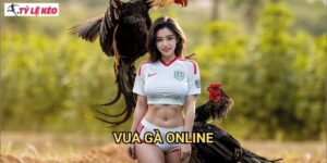 Vua Gà Online Tỷ lệ kèo us - Trải Nghiệm Đá Gà Trực Tuyến Đỉnh Cao Với Tỷ Lệ Cược Hấp Dẫn