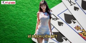 Xì Dách Liên Kết Tỷ lệ kèo us - Blackjack kết nối cộng đồng
