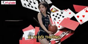 Xì tố đổi thưởng Tỷ lệ kèo us - Poker Việt Nam với phần thưởng hấp dẫn
