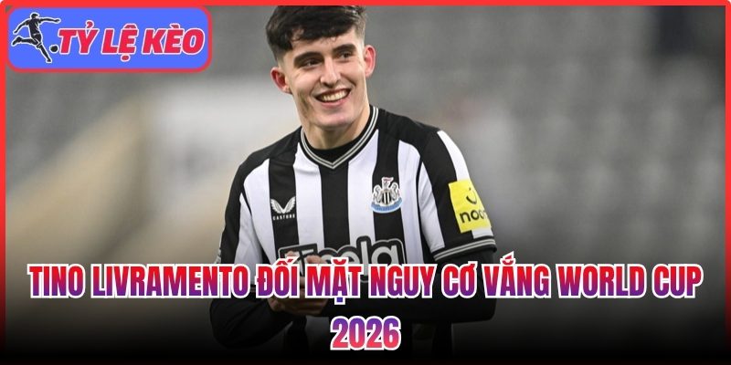 Tino Livramento đối mặt nguy cơ