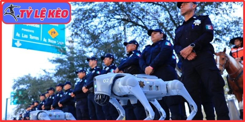Robot K9-X tuần tra, bảo vệ an ninh sân vận động